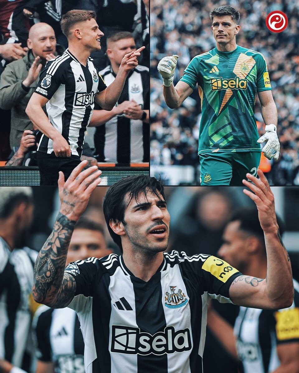 纽卡斯尔联vs阿森纳比赛分析 纽卡斯尔联vs阿森纳比赛分析