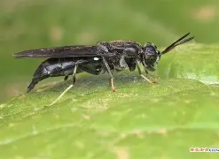 关于?崻挔m韻棪繶髑??3?-虻黲S1I国的信息-九游体育下载